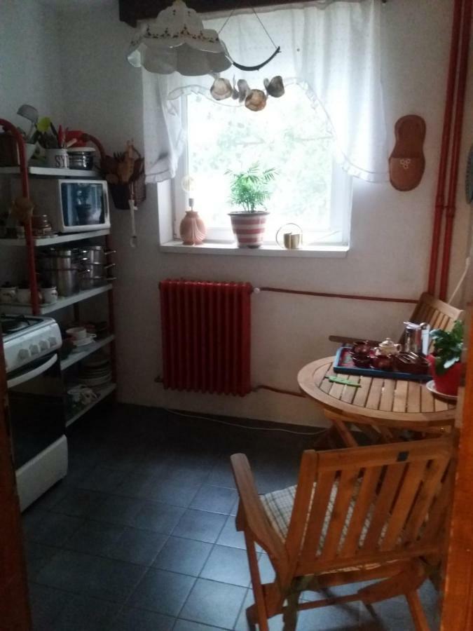 Apartament Anca Temesvár Kültér fotó